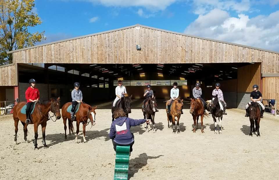 carriere-manege-poneys