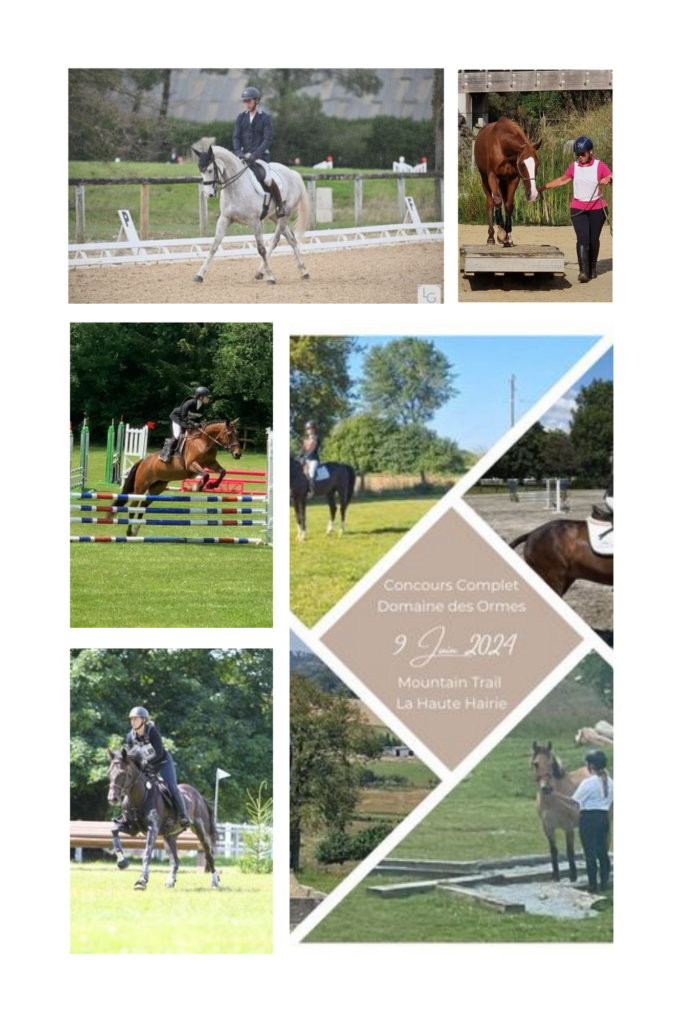 Concours Cavaliers " Les 3 Chênes "